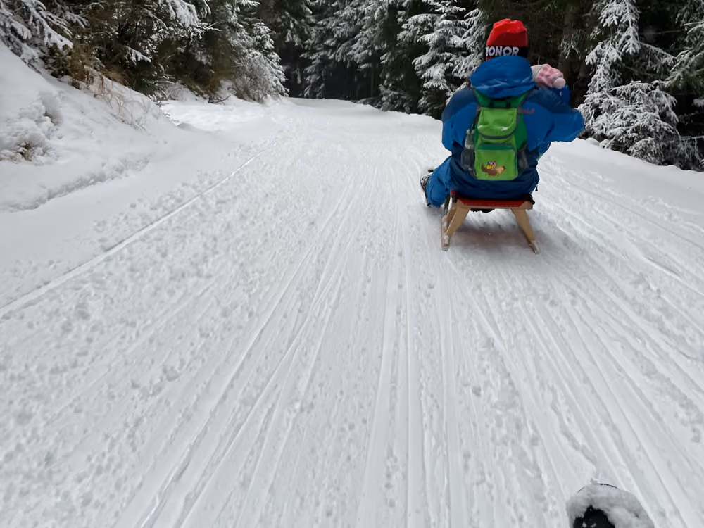 Kind auf dem Schlitten auf der Rodelbahn beim Skigebiet Ratschings-Jaufen, ringsum verschneiter Wald